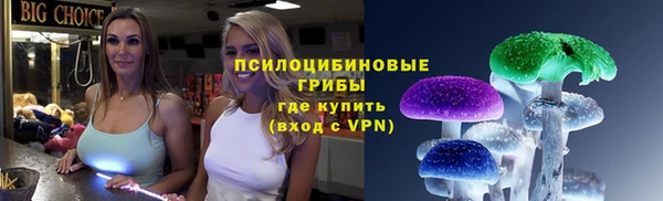 прущие крисы Абинск