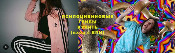 прущие крисы Абинск