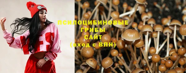 прущие крисы Абинск