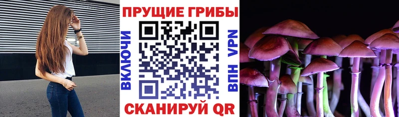 Псилоцибиновые грибы мухоморы Приволжск