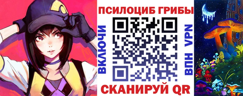 Псилоцибиновые грибы Psilocybe  OMG зеркало  Приволжск 